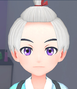 Pokemon SV - Kitakami updo