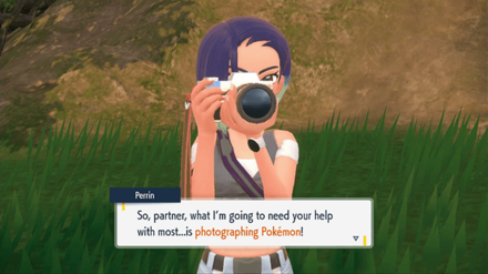 SV Teal Mask - Request to Photograph Pokemon