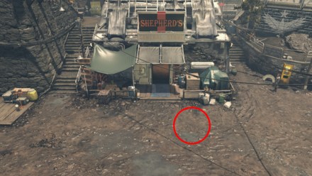 Starfield - Shepherd