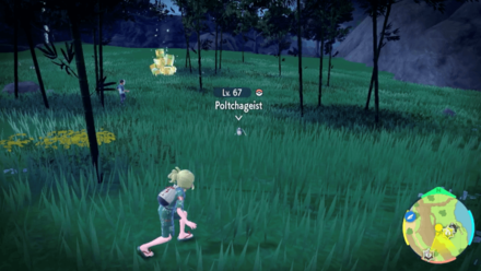 Pokemon Scarlet and Violet (SV) - Poltchageist