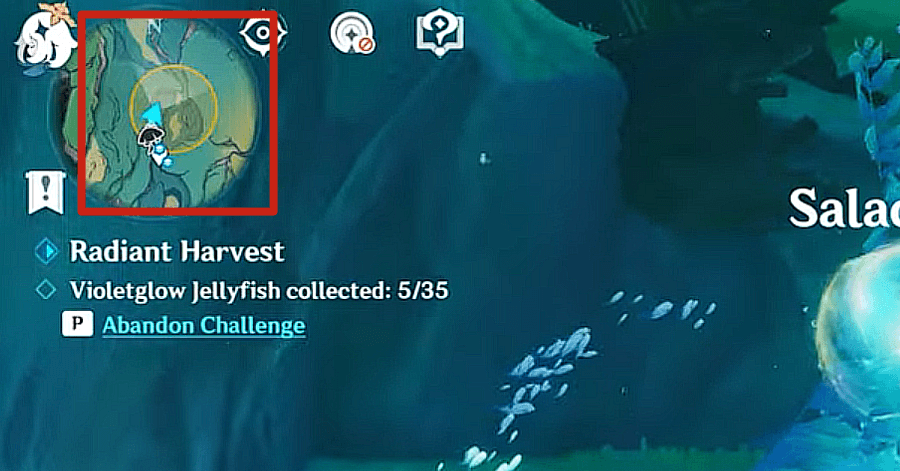 Genshin - Radiant Harvest - Head to the Designated Areas