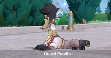 Genshin - Studies in Light and Shadow Guard Poodle