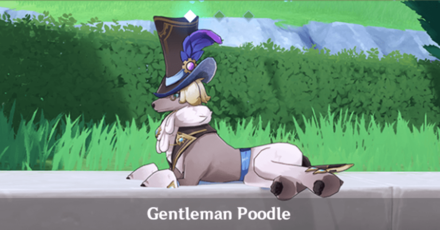 Genshin - Studies in Light and Shadow Gentleman Poodle