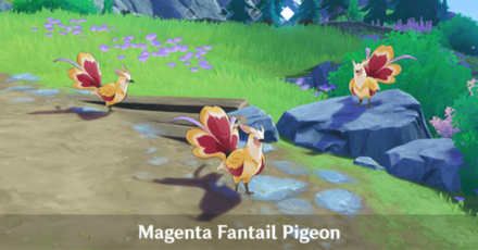 Genshin - Studies in Light and Shadow Magenta Fantail Pigeon