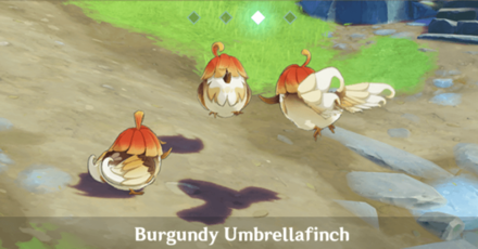 Genshin - Studies in Light and Shadow Burgundy Umbrellafinch