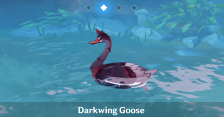 Genshin - Studies in Light and Shadow Darkwing Goose