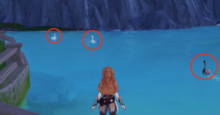 Genshin - Find Two Fontainian Birds near Marcotte Station