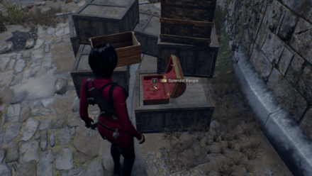 RE4 Remake Separate Ways - Splendid Bangle In-game Location