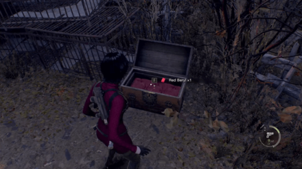 RE4 Remake Separate Ways - Red Beryl In-game Location