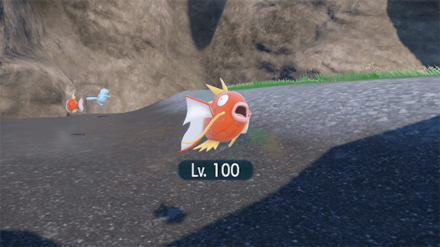 SV Teal Mask - Lv. 100 Magikarp Close Up