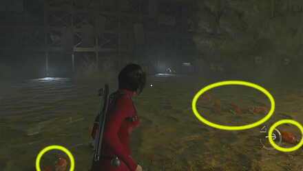 Be Mindful of Surroundings