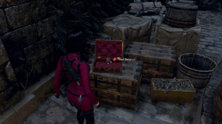 RE4 Remake Separate Ways - 2nd Red Beryl In-game Location