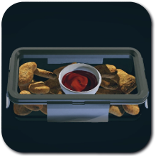 Starfield - Crispy Alien Nuggets