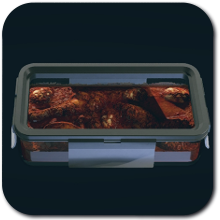 Starfield - Doro Wat