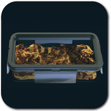 Starfield - Pappardelle Bolognese