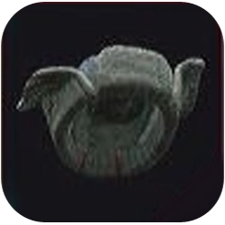 Dirty Padded Ushanka