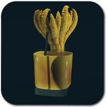 Starfield - Viewport Original