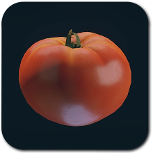 Starfield - Tomato
