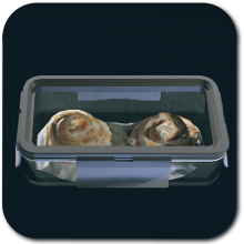 Starfield - Sweet Rolls