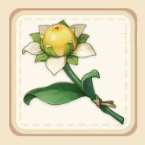 Genshin Impact - Sweet Flower
