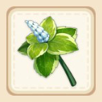 Genshin Impact - Mint