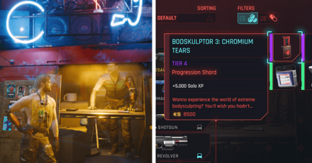 Cyberpunk 2077 Phantom Liberty - Skill Shards in Dogtown