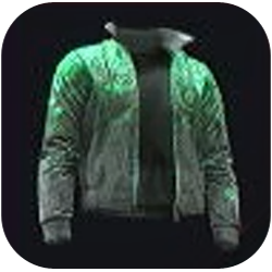 Snazzy Jacket with Padded Shoulder