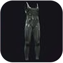 Elegant Unitard with Ballistic Lining