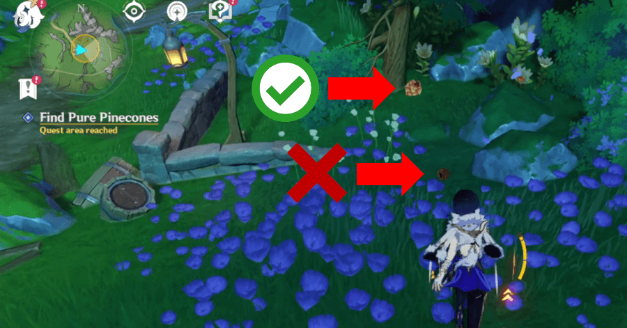 Genshin Impact - Villains - Look for Pure Pinecones