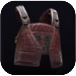 Custom Vest with Composite Buckles