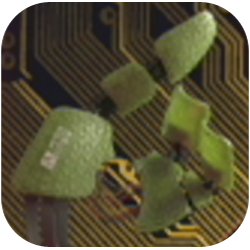 Cyberpunk 2077: Phantom Liberty - Immovable Force