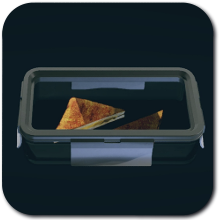 Starfield - Grilled Cheese Sandwich