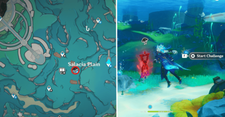 Genshin Impact - Radiant Harvest Area 2 Location