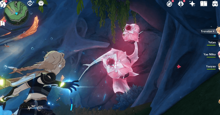 Genshin - Destroy the Wall Using the Xenochromatic Jellyfish Ability