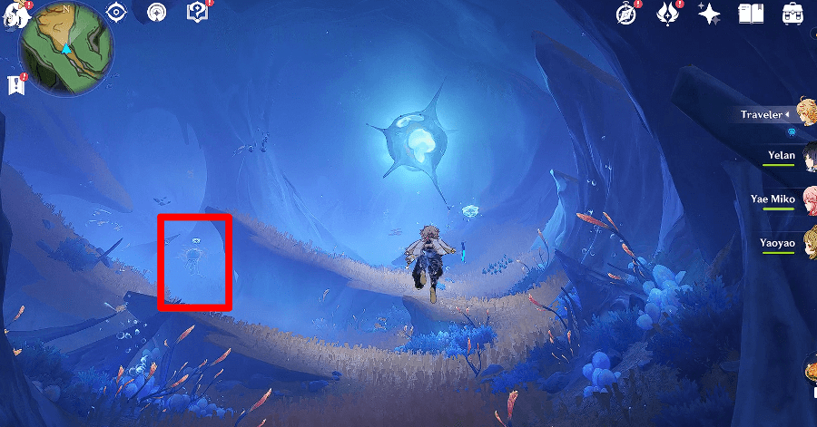 Genshin - Absorb the Xenochromatic Jellyfish Ability