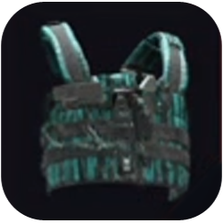 Low Profile 900D Polyester Vest