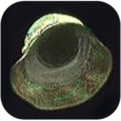 Biosynth Rip-Stop Hat