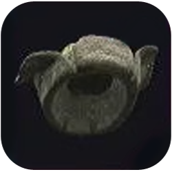 Faded Corduroy Ushanka