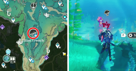 Genshin Impact - Genshin - Radiant Harvest Area 4 Location