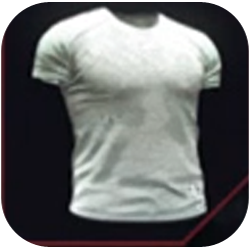 Thermodynamic T-Shirt with Nanotube Lining