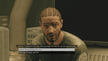 Starfield - Deliver Package to Salinas