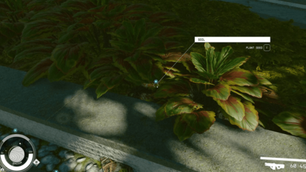 Starfield - Plant the Seed in the Soil