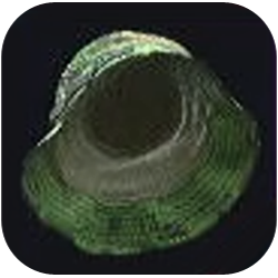 Permethrin-Coated Camo Bucket Hat