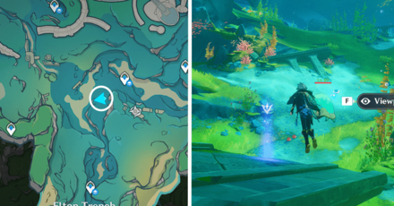 Genshin - Viewpoint in Salacia Plain