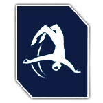 Spider-Man 2 - Acrobat Icon