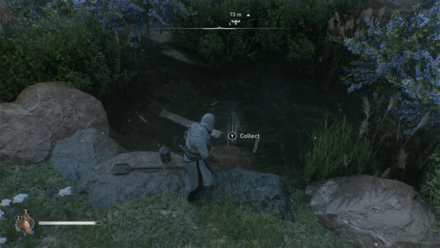 AC Mirage Delight by the Dome Treasure Location