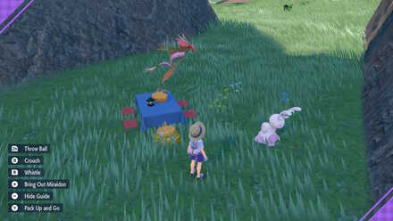 Pokemon Scarlet and Violet - Picnic with Dragalge and Sliggoo