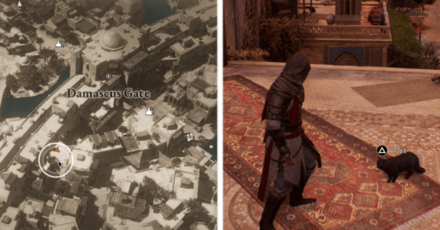 AC Mirage - Damascus Gate Cat