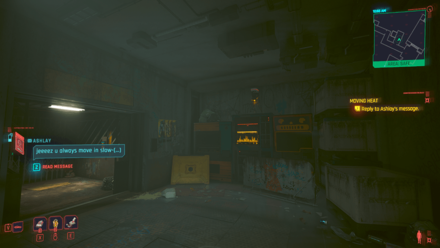 Cyberpunk 2077 Phantom Liberty - Ashlay