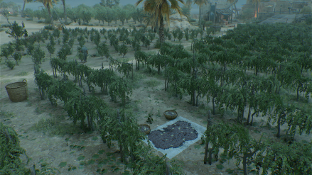 Starfield -  Alcohol Production and Consumption